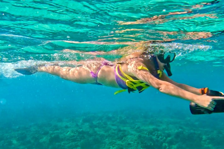 a person swimming in a body of water